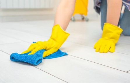 Standard Cleaning Vs Deep Cleaning: Key Differences Between Home Services