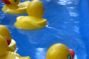duckies act - affordable cleaning today